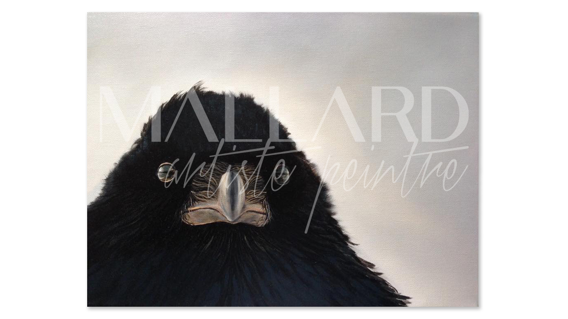 Corbeau-huile-toile-16x12 Corbeau