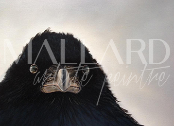 Corbeau-huile-toile-358x259 Mallard - Corbeau