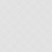 Mallard - The Sassy One!