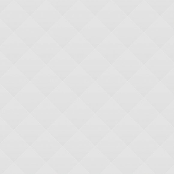 the-Sassy-one-huile-toile-12x16.jpg Mallard - The Sassy One!