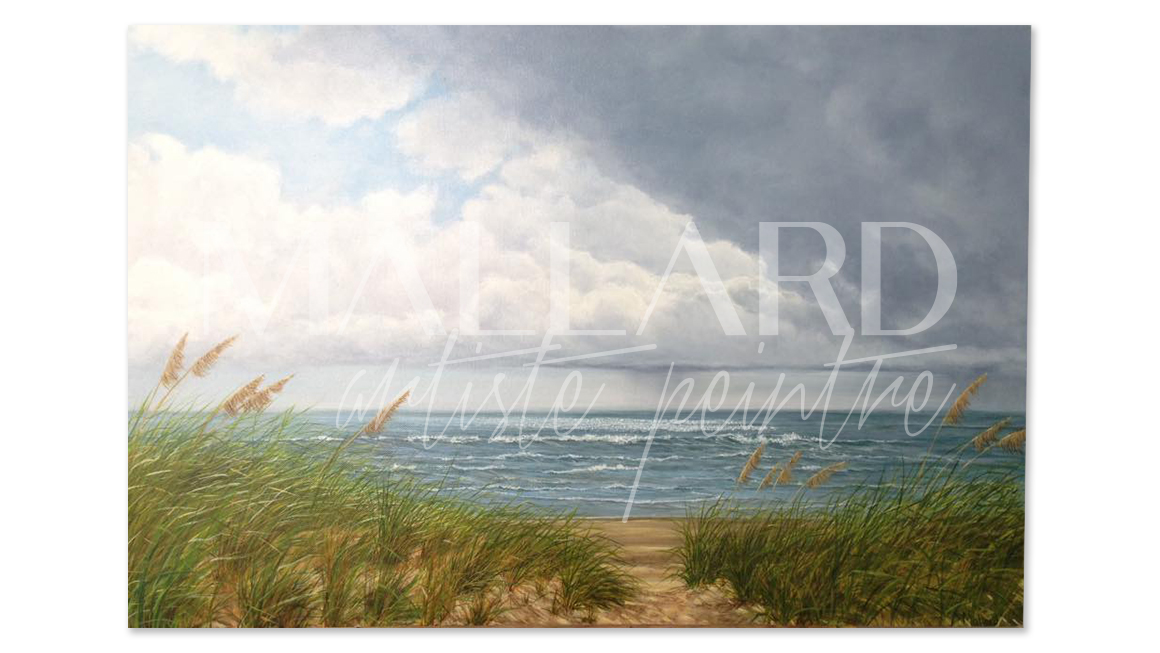 Hatteras-huile-toile-16x12 Mallard - Hatteras