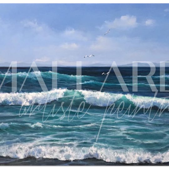 Mallard - Taking Flight