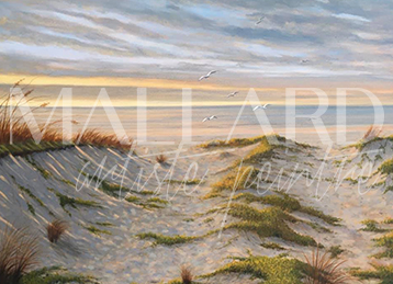 Ocean-Blues-huile-toile-358x259 Mallard-Ocean-Blues