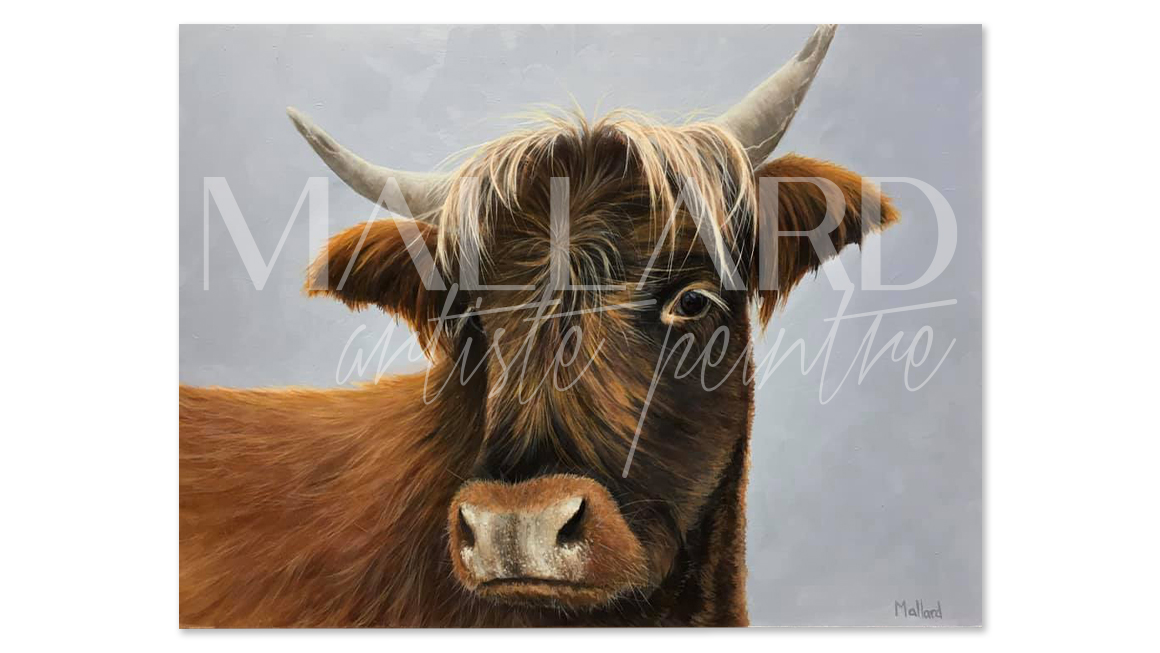 the-Sassy-one-huile-toile-12x16 The Sassy One!